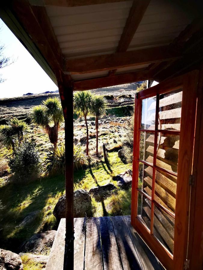 Manaaki Mai, Rustic Retreat Bush Cabin Christchurch Eksteriør bilde