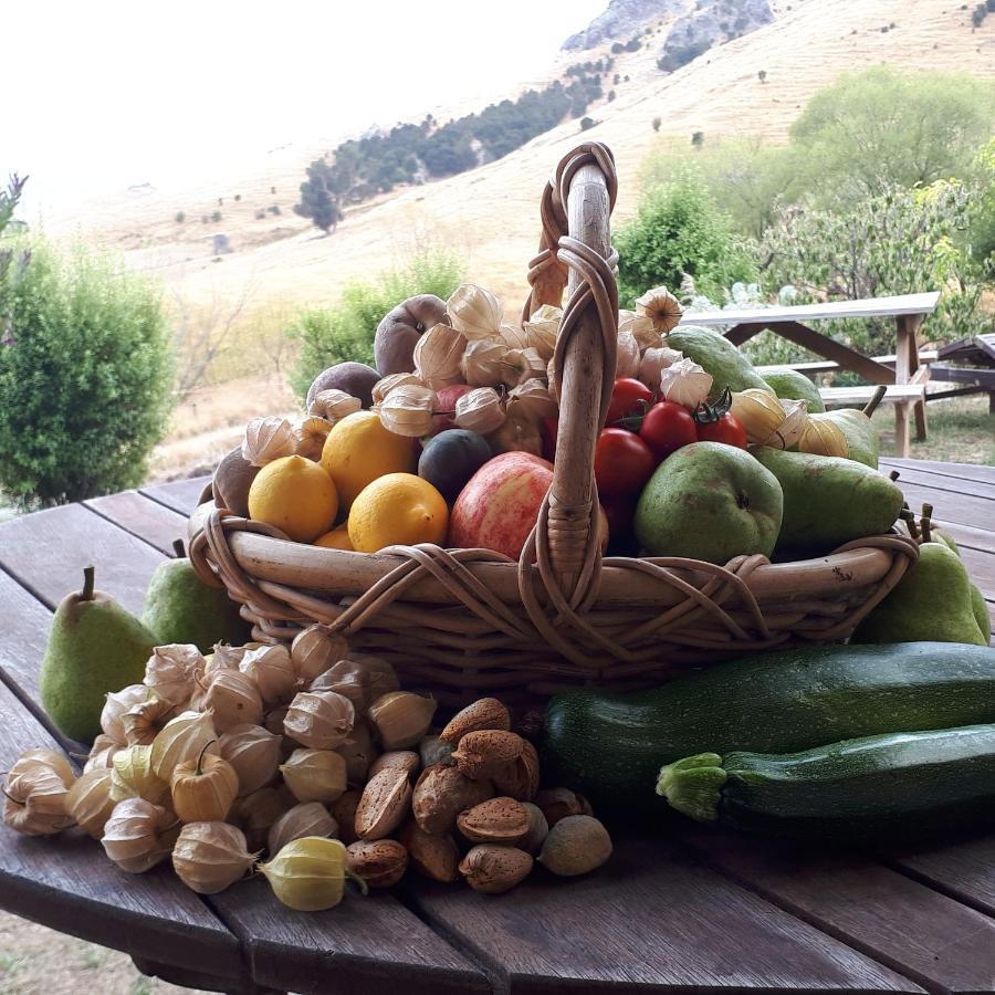 Manaaki Mai, Rustic Retreat Bush Cabin Christchurch Eksteriør bilde